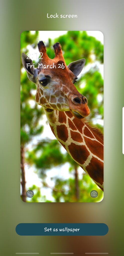 Screenshot - Giraffe Profile
