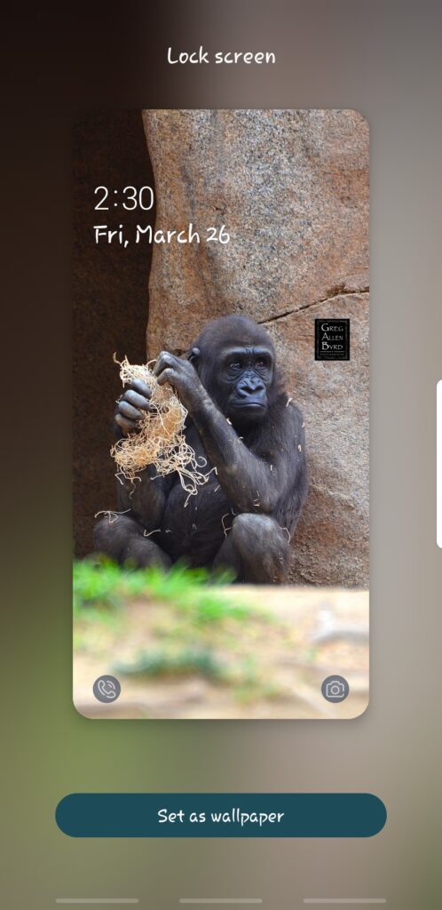Screenshot - Gorilla Daycare