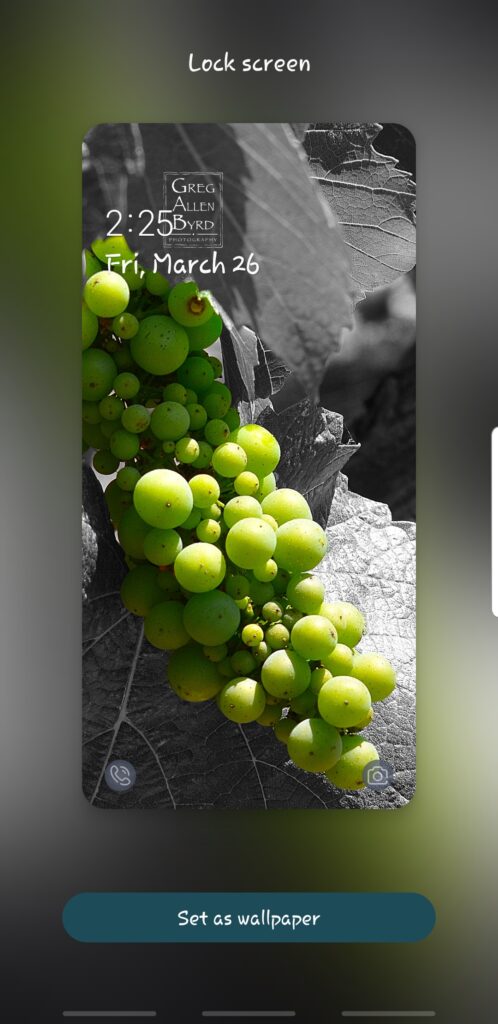 Screenshot - Grape Vine Scope