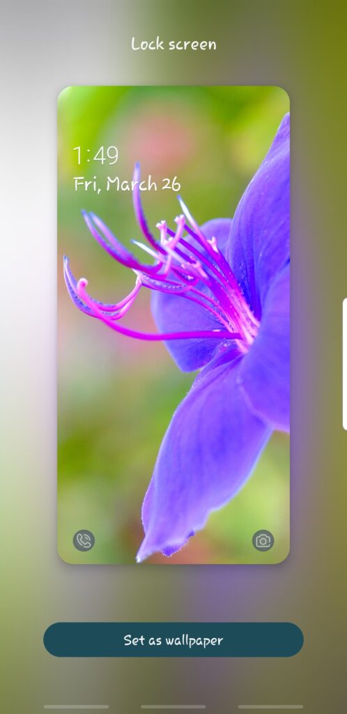 Screenshot - Purple Bloom