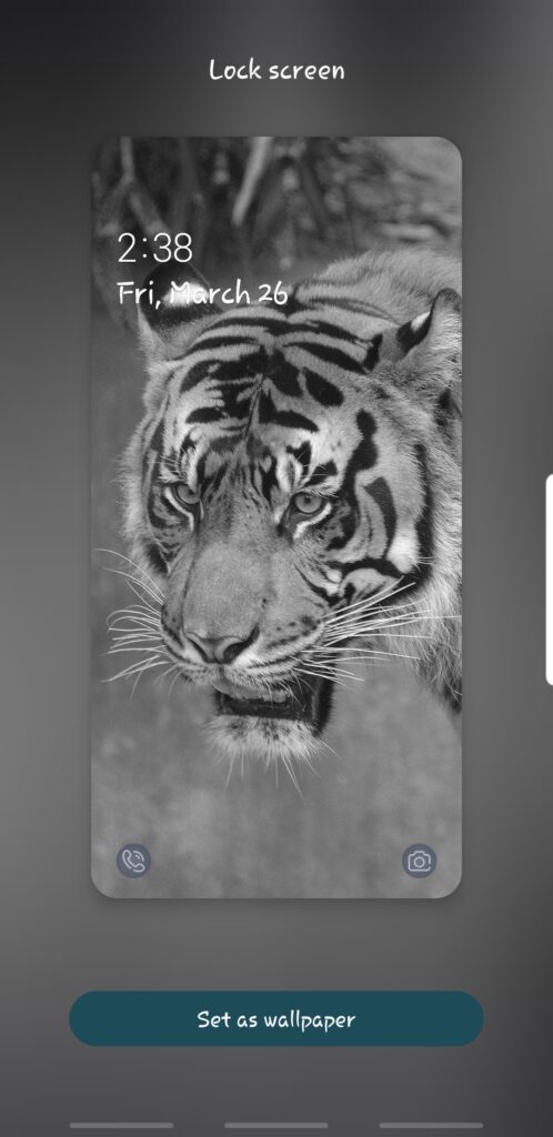Screenshot - Tiger Profile Look B&W